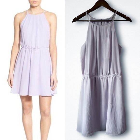 Naked Zebra Dresses & Skirts - NWT Naked Zebra Lavender Sheer Chiffon Lined Halter Skater Dress Women's Medium
